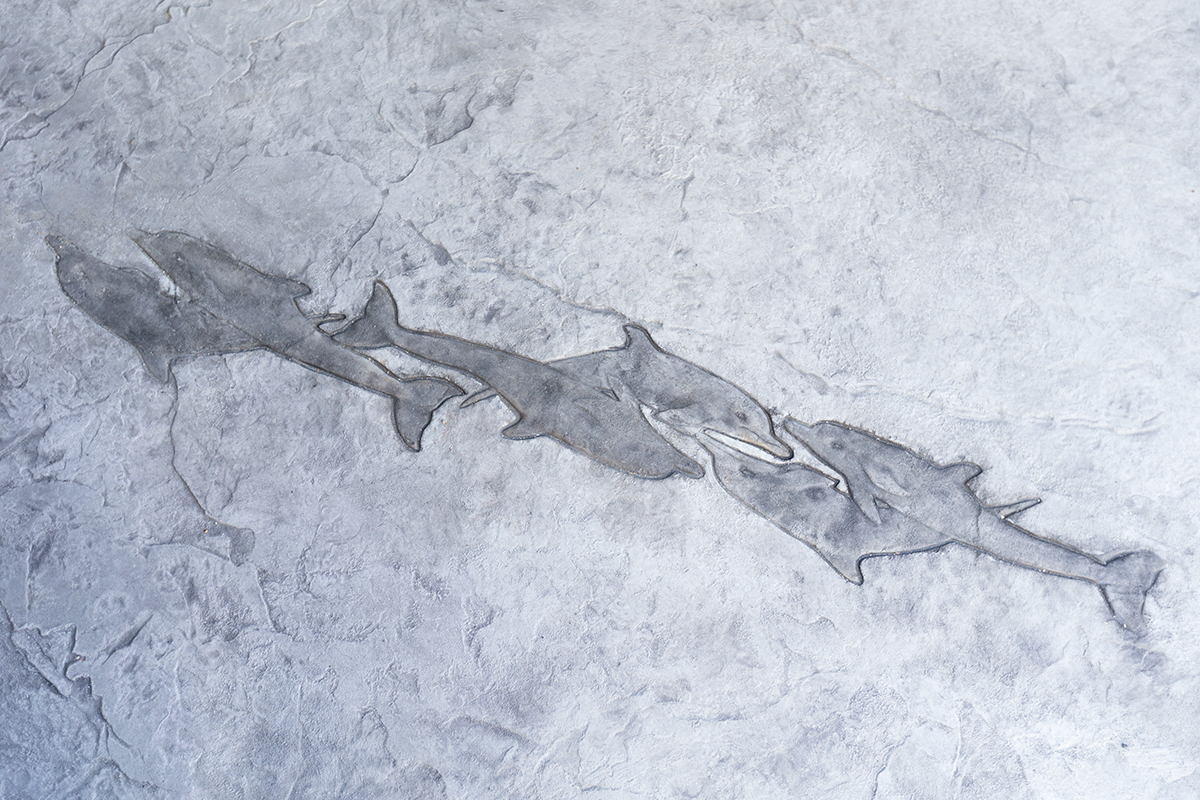 楽しさ、溢れる家