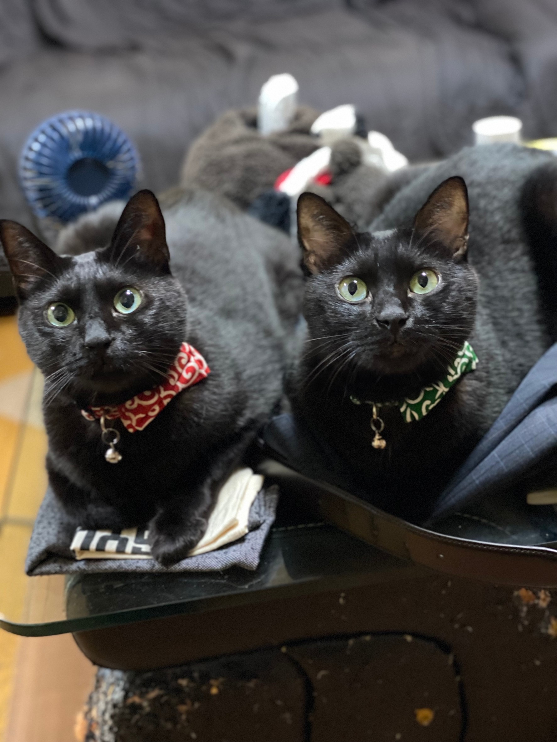 0E6EC530-D5D3-415D-BFAC-A5F066B010FA