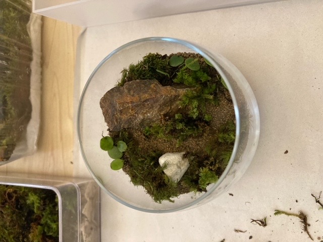 220116FD-5F29-427A-BD74-BD97AB6583EC