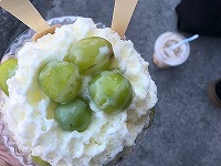 S_8480551081105のコピー