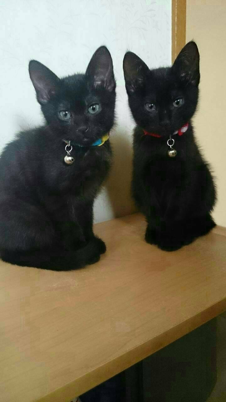 50475570-0502-4767-B4D6-25926D1A9B99