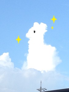 130821  きりん雲