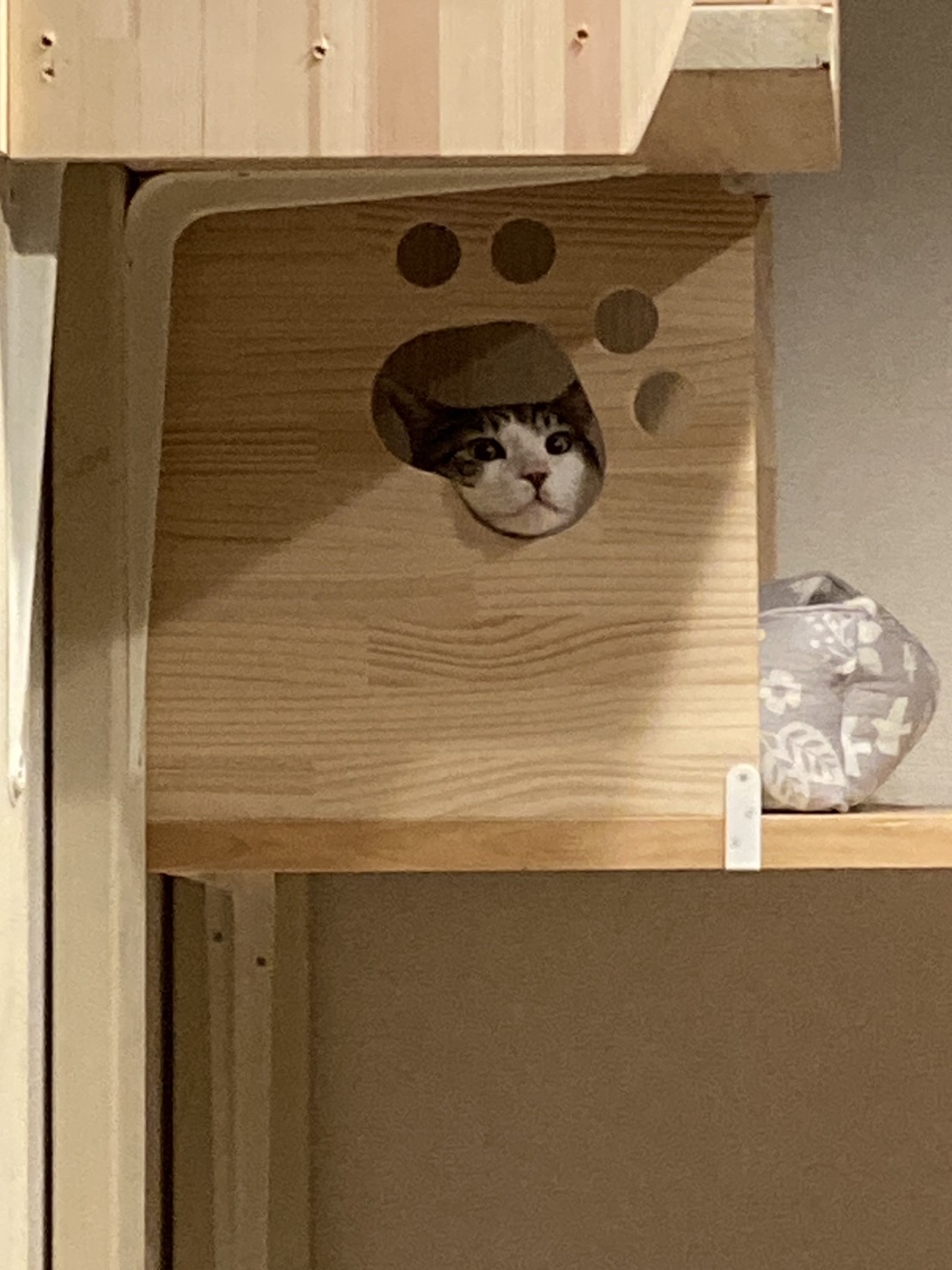 5261AD86-BCA7-4BDF-B968-AEE85F4BC866