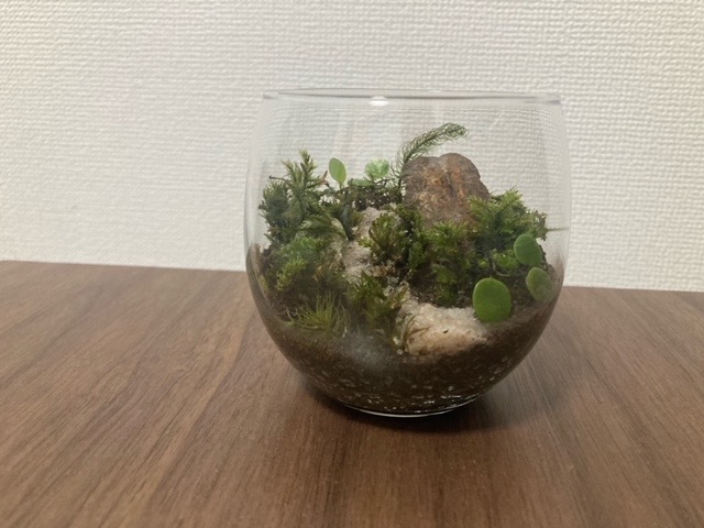 68B46FFD-4ED3-4825-B75C-5341DCCCEC6E