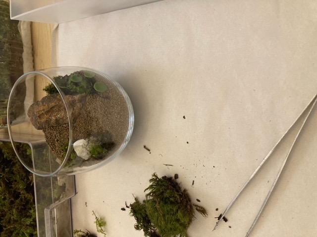 848DA825-B001-4F7C-842C-732ABC2C512B