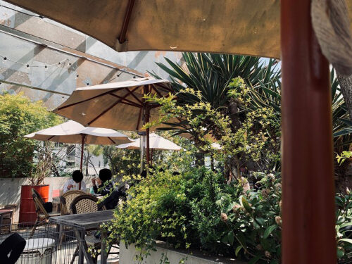 A9A07FF7-9D65-48EF-9166-1D81EFB5BB20