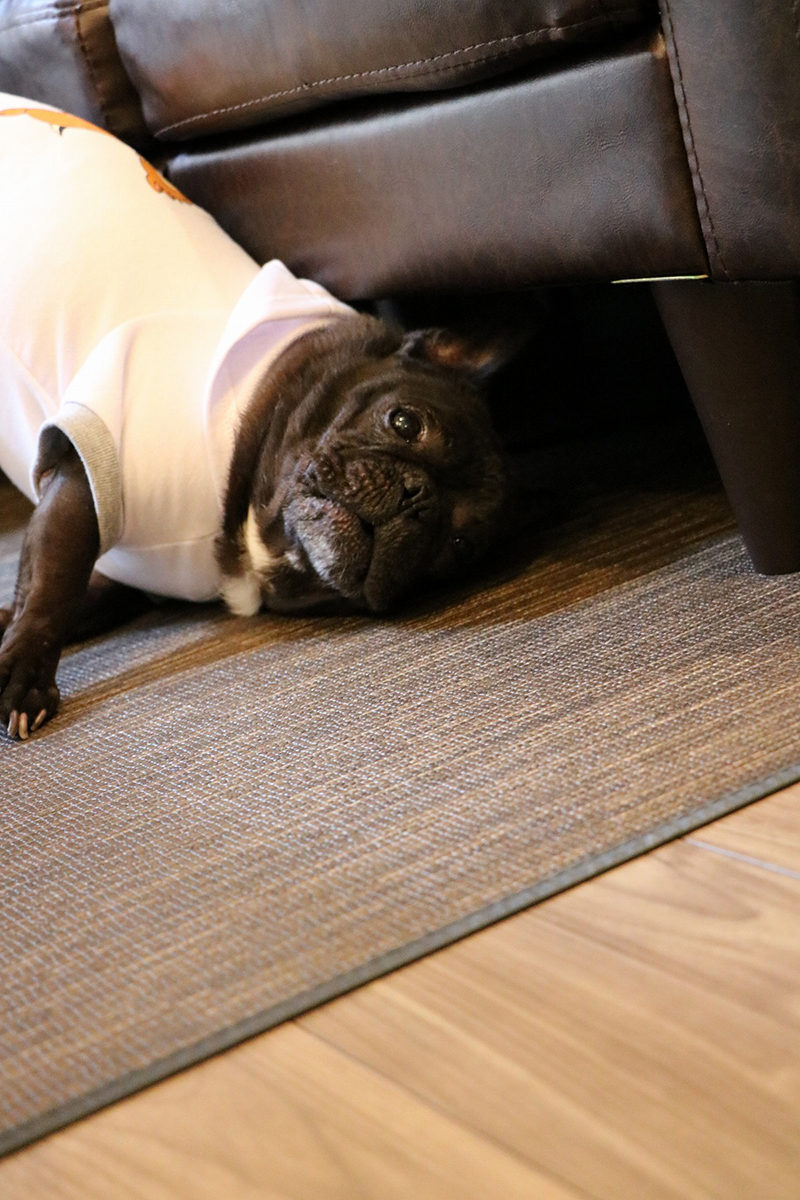 大人のBLACK&GRAYな家