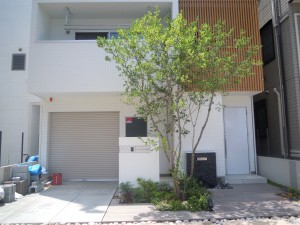 ジーファスチェック75