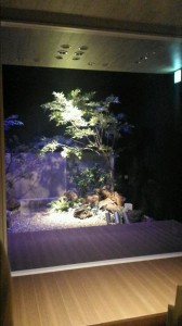 ⑤外部照明(映り込みなし。明るい)