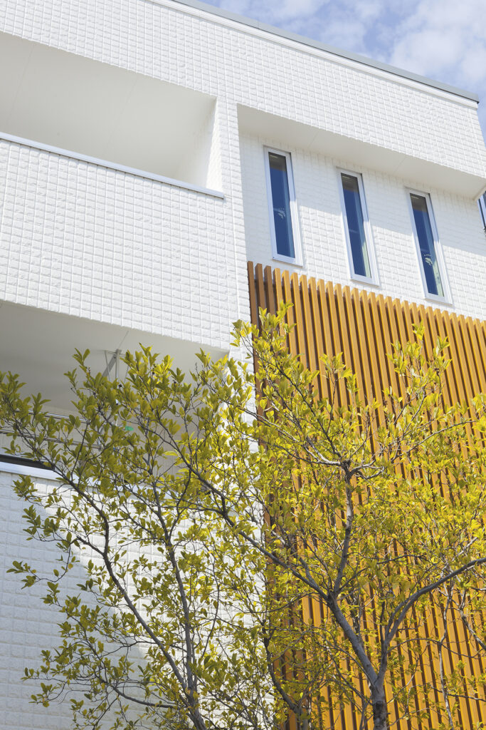 利休梅を望む家