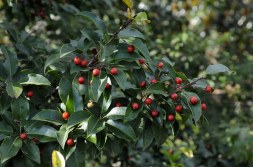 messageImage_1625622540345