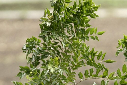 messageImage_1625622549250